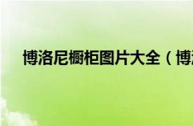 博洛尼橱柜图片大全（博洛尼橱柜相关内容简介介绍）