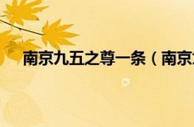 南京九五之尊一条（南京九五之尊相关内容简介介绍）