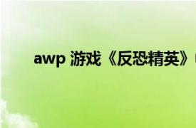 awp 游戏《反恐精英》中的武器相关内容简介介绍