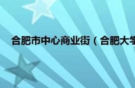 合肥市中心商业街（合肥大学城商业中心相关内容简介介绍）