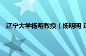 辽宁大学杨明教授（杨明明 辽宁大学助教相关内容简介介绍）