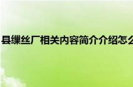 县缫丝厂相关内容简介介绍怎么写（县缫丝厂相关内容简介介绍）