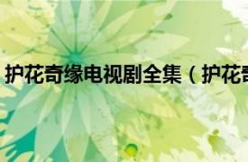 护花奇缘电视剧全集（护花奇缘10DVD相关内容简介介绍）