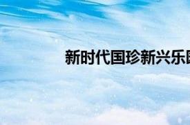 新时代国珍新兴乐园专营店相关内容介绍