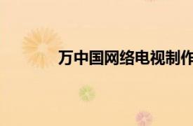 万中国网络电视制作中心主任相关内容简介