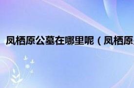 凤栖原公墓在哪里呢（凤栖原少陵原墓葬群相关内容简介介绍）