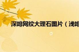 深啡网纹大理石图片（浅啡网-细网纹相关内容简介介绍）