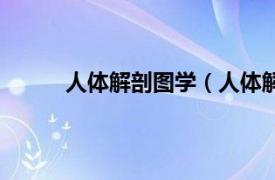 人体解剖图学（人体解剖图相关内容简介介绍）