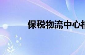 保税物流中心相关内容简介介绍