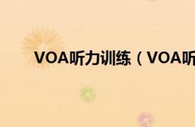 VOA听力训练（VOA听力训练相关内容简介介绍）