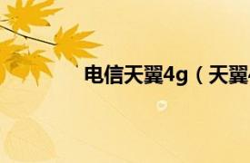 电信天翼4g（天翼4g相关内容简介介绍）