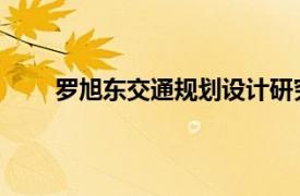 罗旭东交通规划设计研究院第四设计分院院长介绍