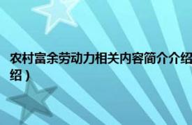 农村富余劳动力相关内容简介介绍怎么写（农村富余劳动力相关内容简介介绍）