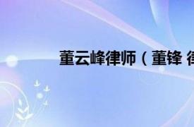 董云峰律师（董锋 律师相关内容简介介绍）