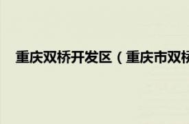 重庆双桥开发区（重庆市双桥区工业园区相关内容简介介绍）