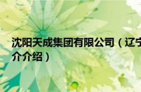 沈阳天成集团有限公司（辽宁天成控股集团有限公司相关内容简介介绍）