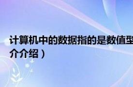 计算机中的数据指的是数值型数据（数据 计算机术语相关内容简介介绍）