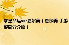 拳皇命运ssr夏尔美（夏尔美 手游《拳皇命运》里一名SR级的格斗家相关内容简介介绍）