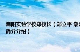 潮阳实验学校郑校长（郑立平 潮阳实验学校创办人、民营企业家相关内容简介介绍）