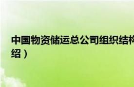 中国物资储运总公司组织结构（中国储运总公司相关内容简介介绍）