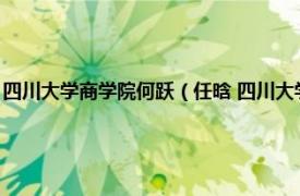 四川大学商学院何跃（任晗 四川大学商学院助理研究员相关内容简介介绍）