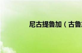 尼古提鲁加（古鲁加相关内容简介介绍）