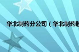 华北制药分公司（华北制药股份有限公司相关内容简介介绍）