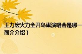 王力宏火力全开鸟巢演唱会是哪一年（王力宏火力全开鸟巢演唱会相关内容简介介绍）