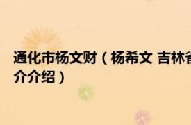 通化市杨文财（杨希文 吉林省通化市自然资源局局长相关内容简介介绍）