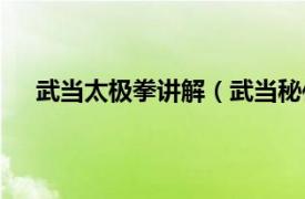 武当太极拳讲解（武当秘传太极拳相关内容简介介绍）