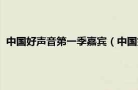 中国好声音第一季嘉宾（中国好声音第一季相关内容简介介绍）