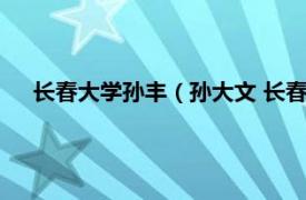 长春大学孙丰（孙大文 长春大学副校长相关内容简介介绍）