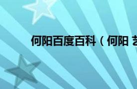 何阳百度百科（何阳 艺术家相关内容简介介绍）