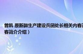 曾凯 原新疆生产建设兵团处长相关内容简介介绍（曾凯 原新疆生产建设兵团处长相关内容简介介绍）