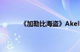 《加勒比海盗》Akella公司单机游戏开发简介