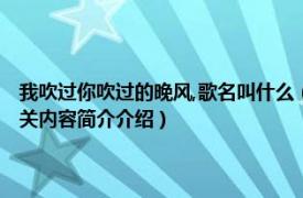 我吹过你吹过的晚风,歌名叫什么（我吹过你吹过的晚风 安泩演唱的歌曲相关内容简介介绍）