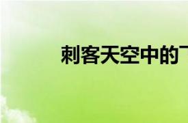 刺客天空中的飞星相关内容介绍