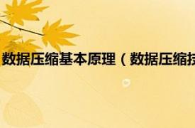 数据压缩基本原理（数据压缩技术原理与范例相关内容简介介绍）