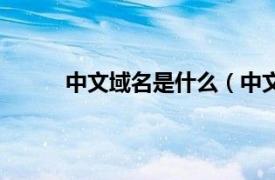 中文域名是什么（中文域名相关内容简介介绍）