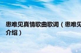 患难见真情歌曲歌词（患难见真情 陈秀男制作歌曲相关内容简介介绍）