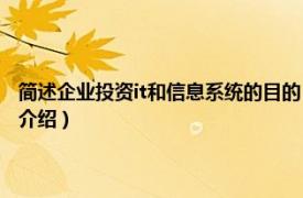 简述企业投资it和信息系统的目的（投资信息处理与信息系统相关内容简介介绍）