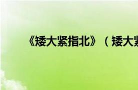 《矮大紧指北》（矮大紧指北3相关内容简介介绍）