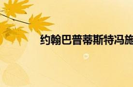 约翰巴普蒂斯特冯施韦泽相关内容简介介绍