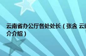 云南省办公厅各处处长（张含 云南省委办公厅信息一处副处长相关内容简介介绍）