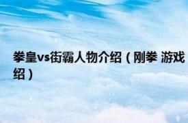 拳皇vs街霸人物介绍（刚拳 游戏《街霸：对决》中的角色相关内容简介介绍）