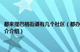 都来提巴格街道有几个社区（都办都来提巴格社区志愿者服务队相关内容简介介绍）