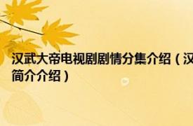 汉武大帝电视剧剧情分集介绍（汉武大帝 2005年胡玫执导电视剧相关内容简介介绍）