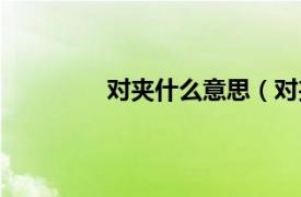 对夹什么意思（对夹相关内容简介介绍）