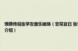 饿狼传说张学友音乐磁场（非常夏日 张学友专辑《饿狼传说》中一首歌曲相关内容简介介绍）