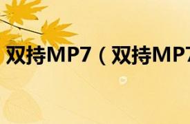 双持MP7（双持MP7A1相关内容简介介绍）